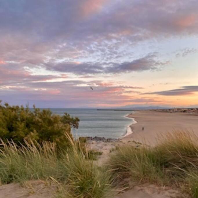 Entre mer et garrigue - 2