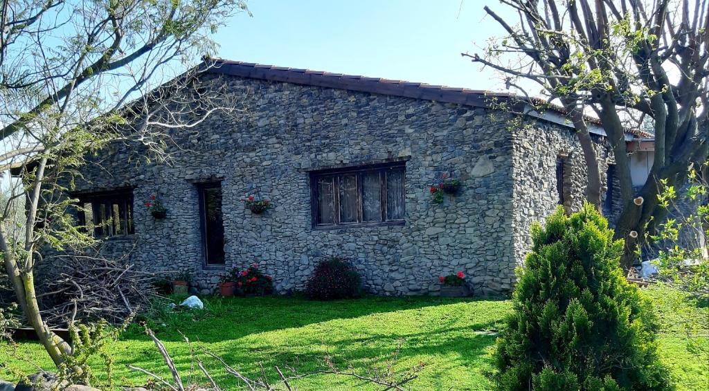 Stylish Farm House, Eli Ad