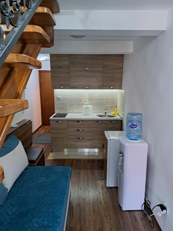 APARTMANI MIA VUKSANOVIC photo