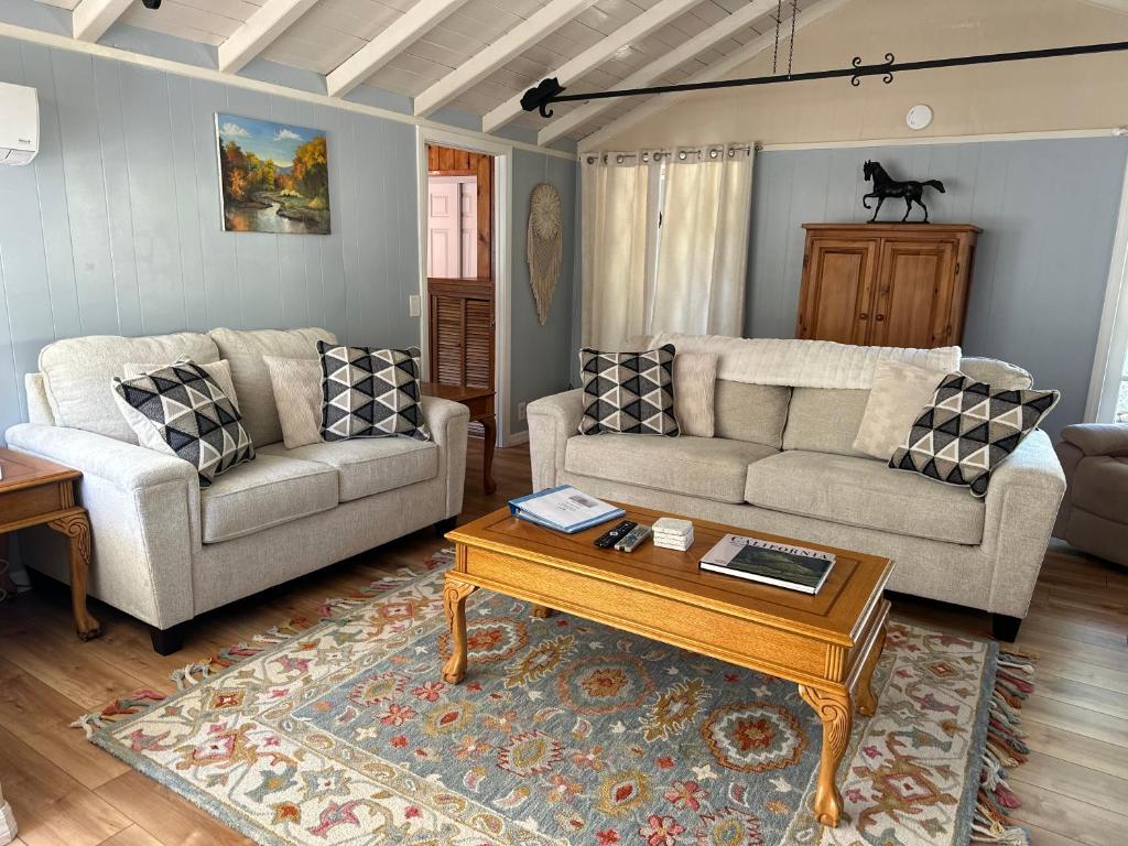 Blue Bird Cottage - pet friendly photo