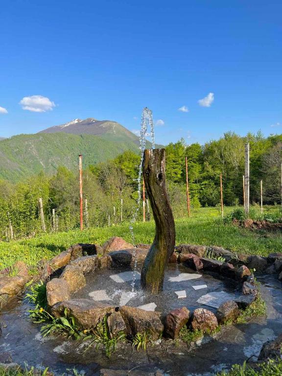 Surrounding environment