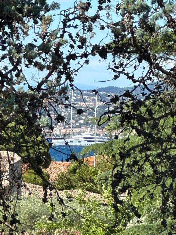 Les Térrasses de Saint-Tropez - 4