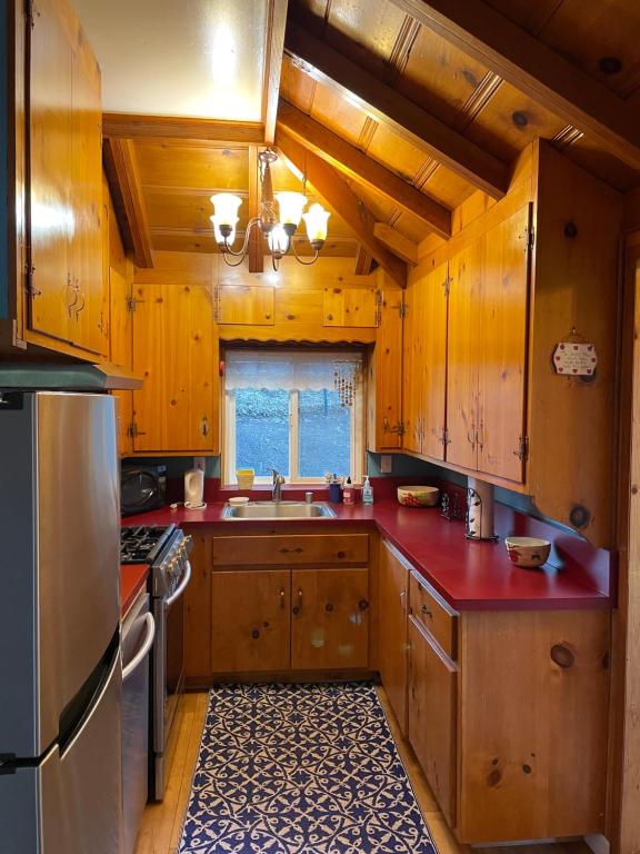 Blue Bird Cottage - pet friendly photo