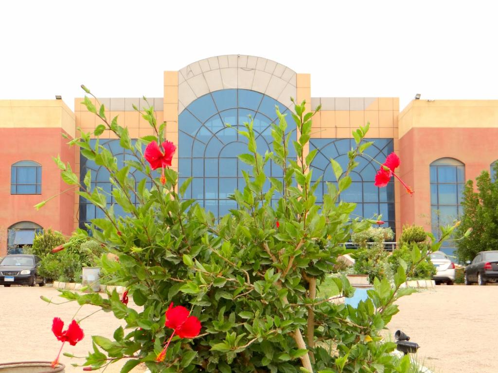 Sinaway Lagoon Aquapark Hotel and Spa photo