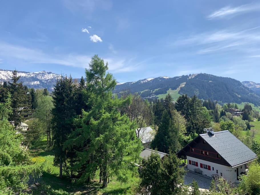 superbe appartement avec vue sur montagnes, calme - 5
