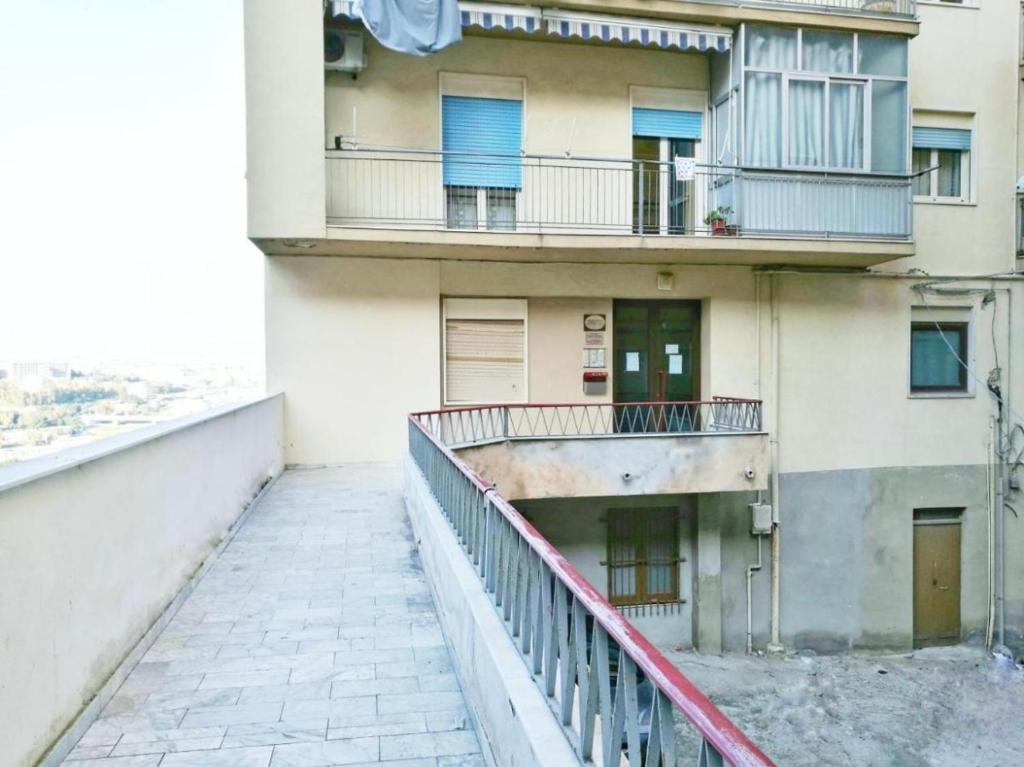 Il giardino degli agrumi - 3