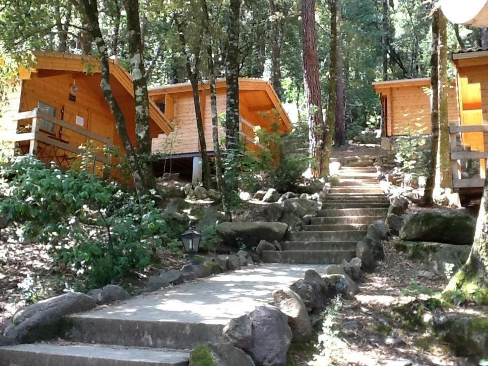 Auberge De La Foret Bonifatu photo