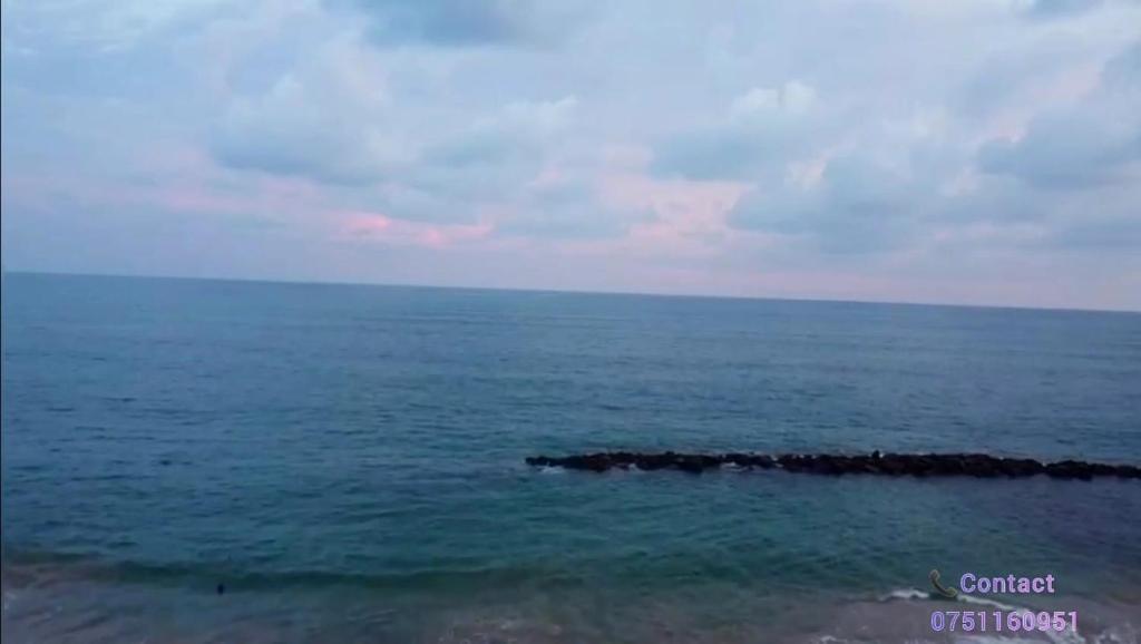 Blue Horizon Beach Hotel photo