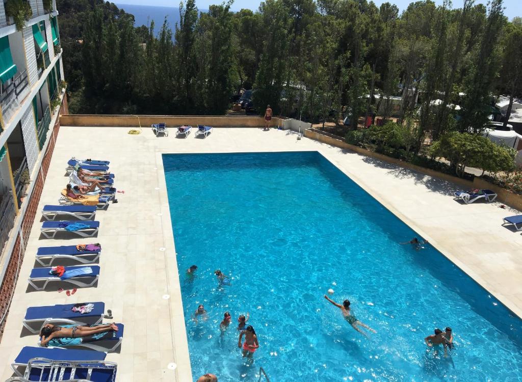 Studios Sol y mar avec Piscine - 3