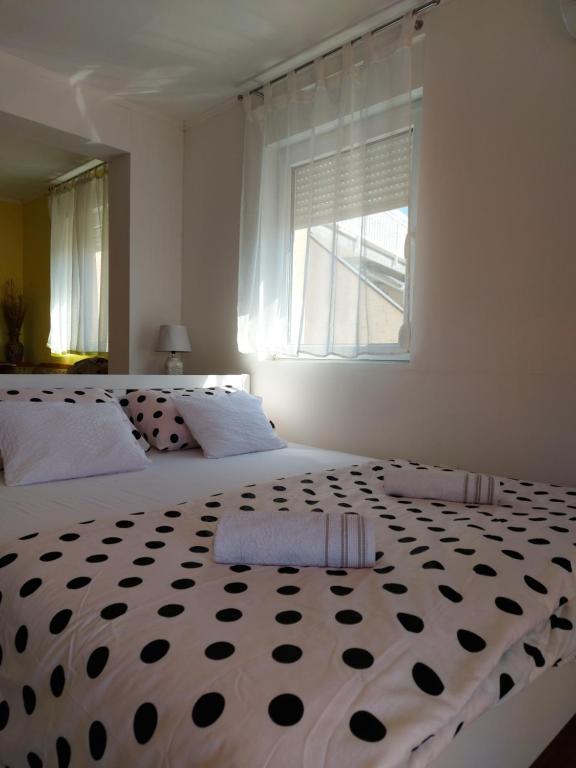 MD Apartments - 1