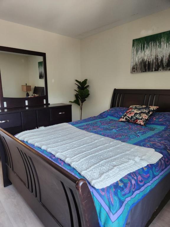 Elmwood stay photo
