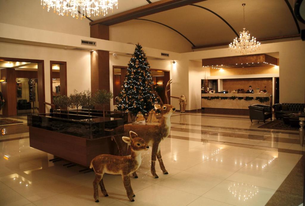 Valis Resort Hotel photo