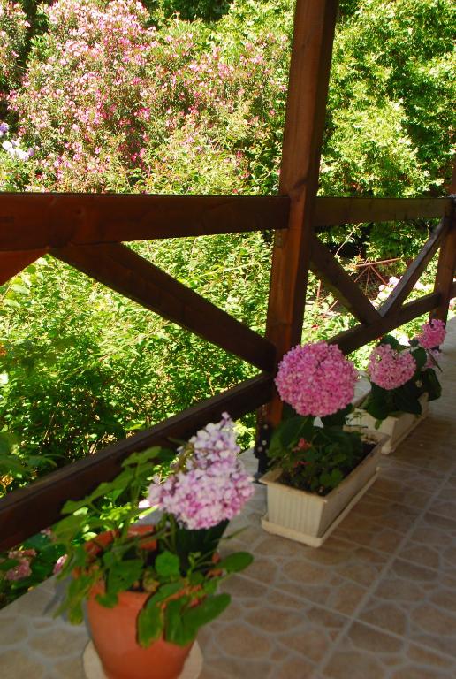 Armonia Samothraki Rooms photo