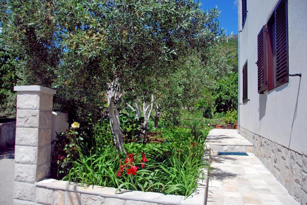 Apartments Iva photo