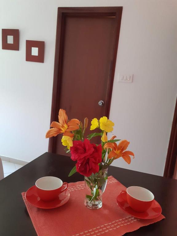 Cvjetni Apartmani photo