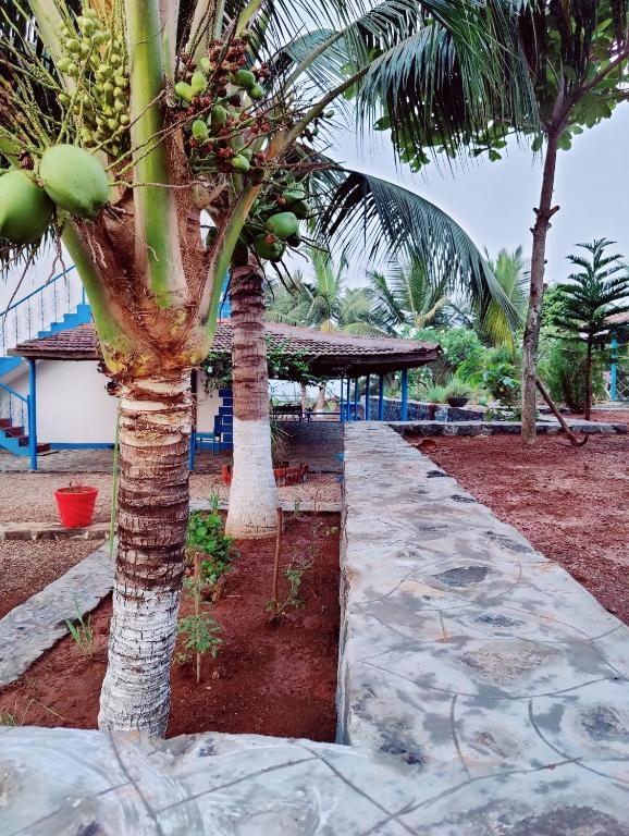 Aqua Arina Holiday Farm House photo