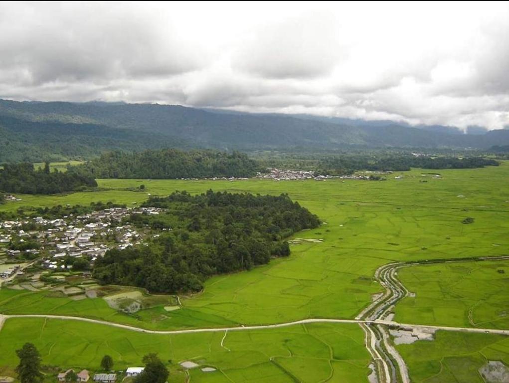 Surrounding environment, Encamp Ziro Festival of Music Camp in Zero