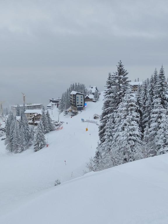 Rajska Jahorina 2212 - 2