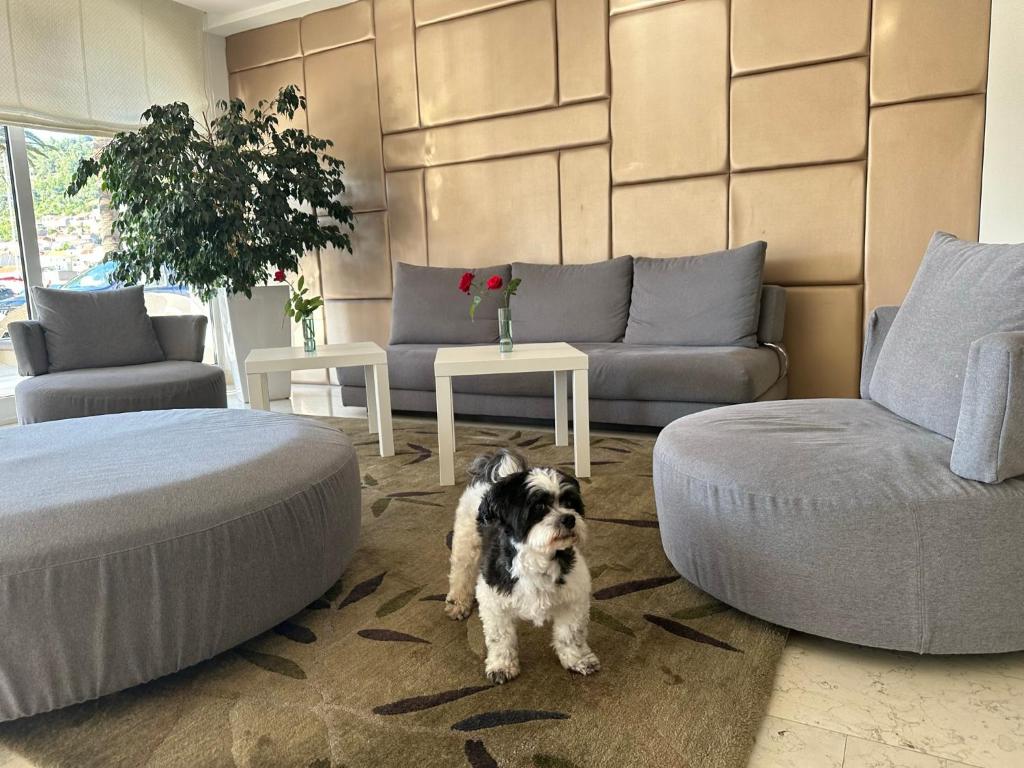 Hotel Korkyra photo
