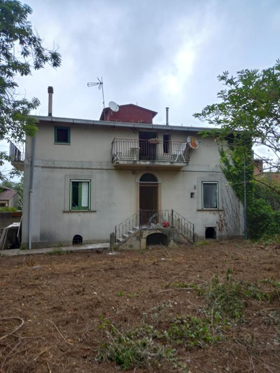 CALABRIA COLLINA DI SCILLA CASALE GIARDINO STANZE E APPARTAMENTI PER FAMIGLIE E COPPIE DA 2 DA 3 DA QUATTRO e giardino Melia Pzza S Gaetano 16