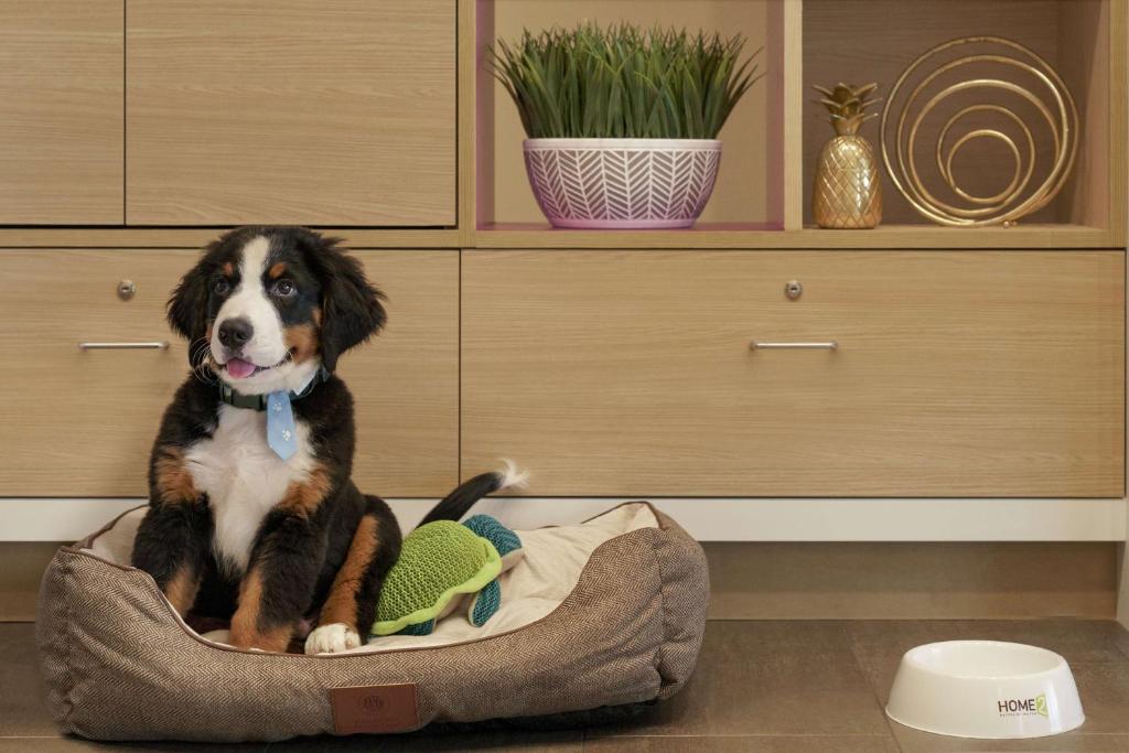 フロント・ロビー