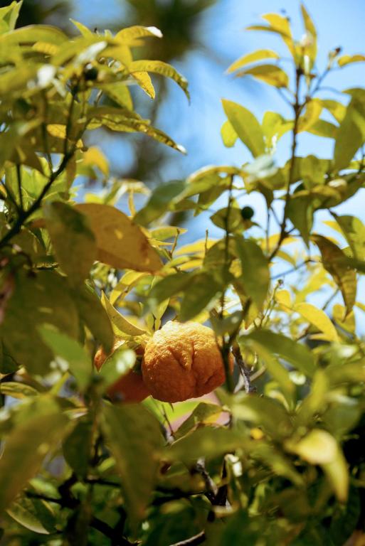 Surrounding environment