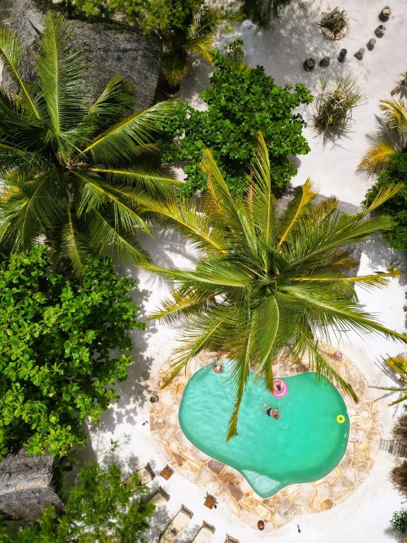 Mpole Bungalows — Hotel in Michamvi