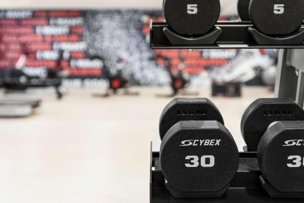 Gimnasio