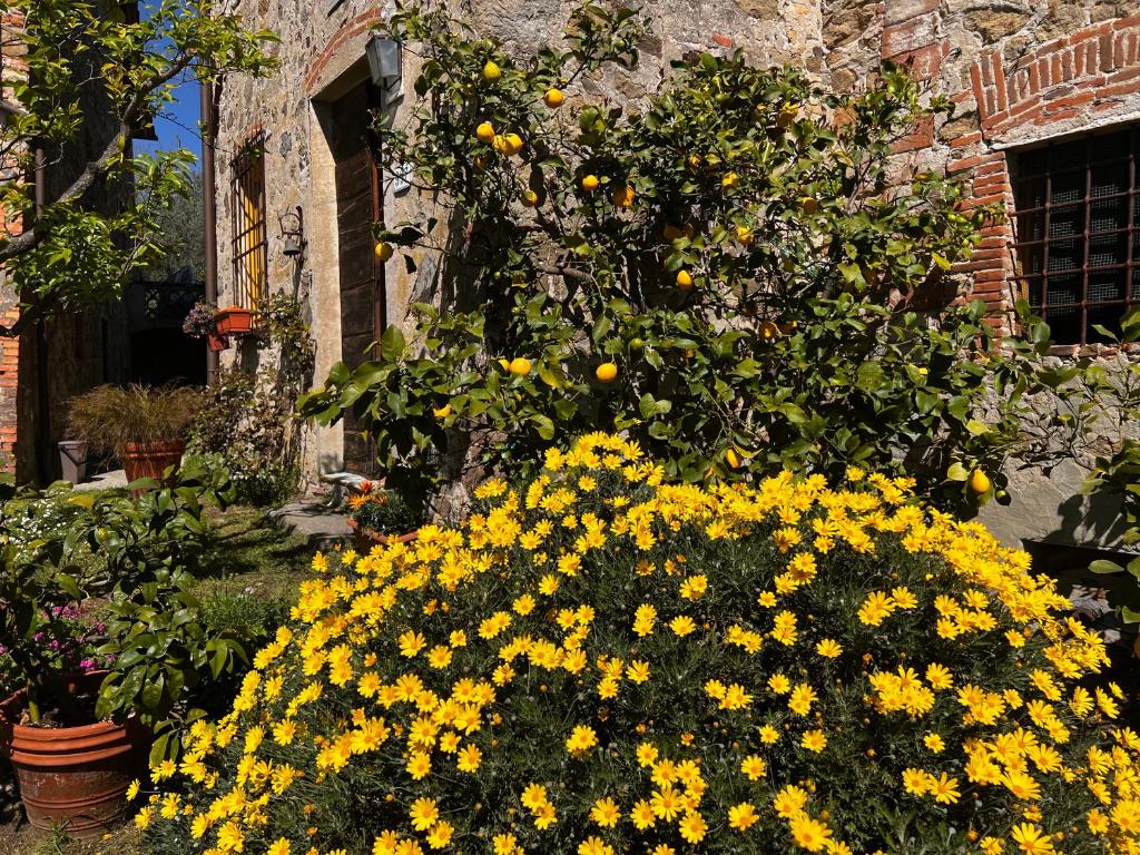 La Casina dei Frati - 3