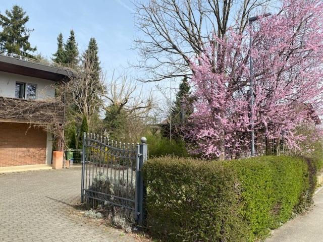 Apartments in Leafy Suburb photo