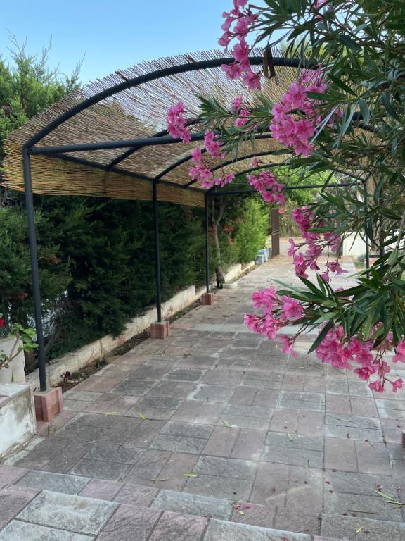 Holiday Home Salento - 4