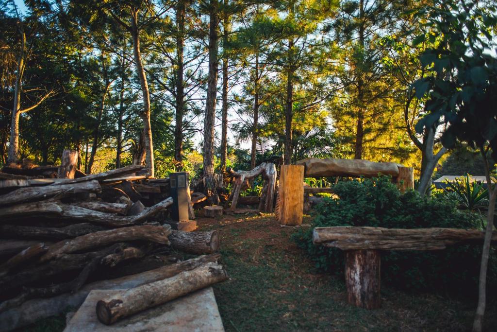 Surrounding environment