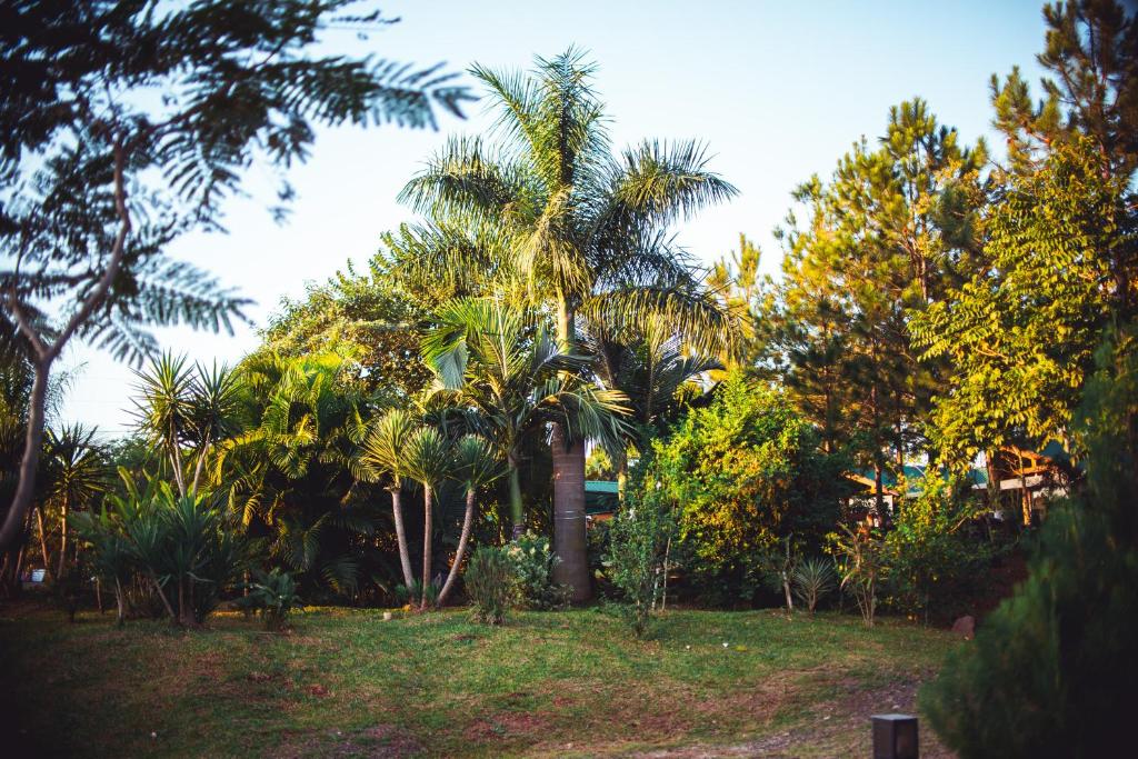 Surrounding environment