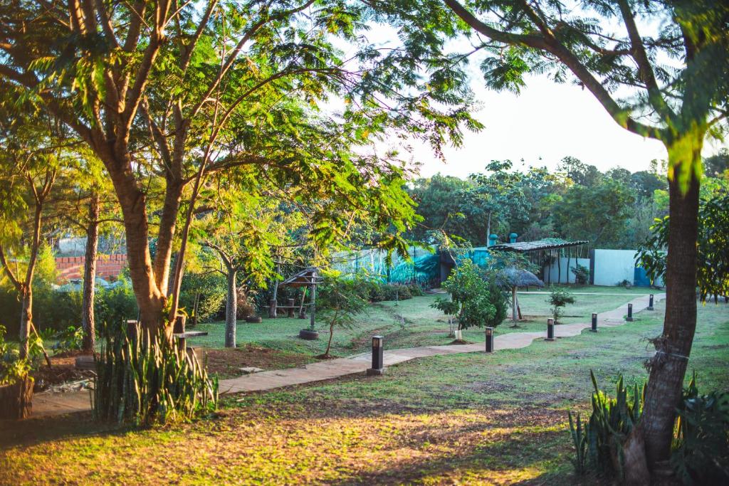 Surrounding environment