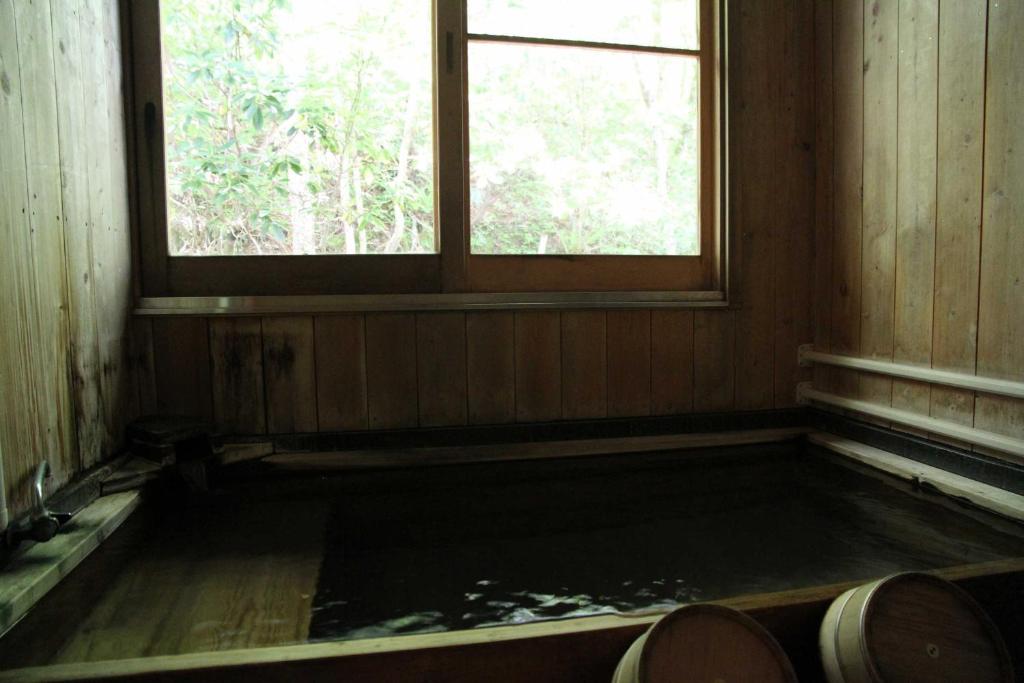 Hot spring bath