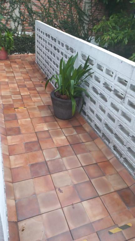 Coyoacan City Lofts - 5