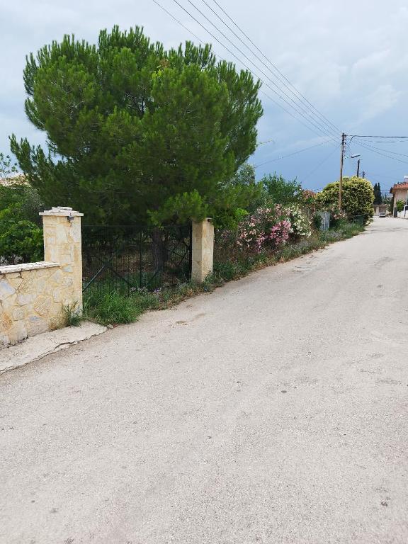Agnadi View