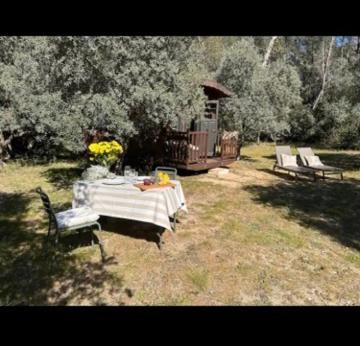 Roulotte / Tiny House dans les Alpilles - 3