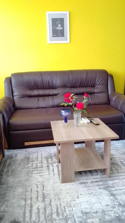 Apartments Aynur - 4