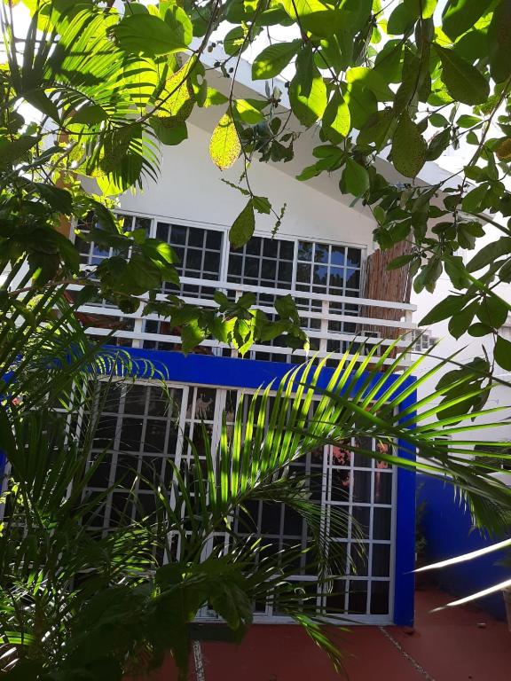 Exclusive Villa Pichi - 1