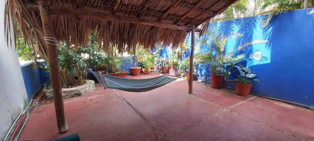Exclusive Villa Pichi - 3