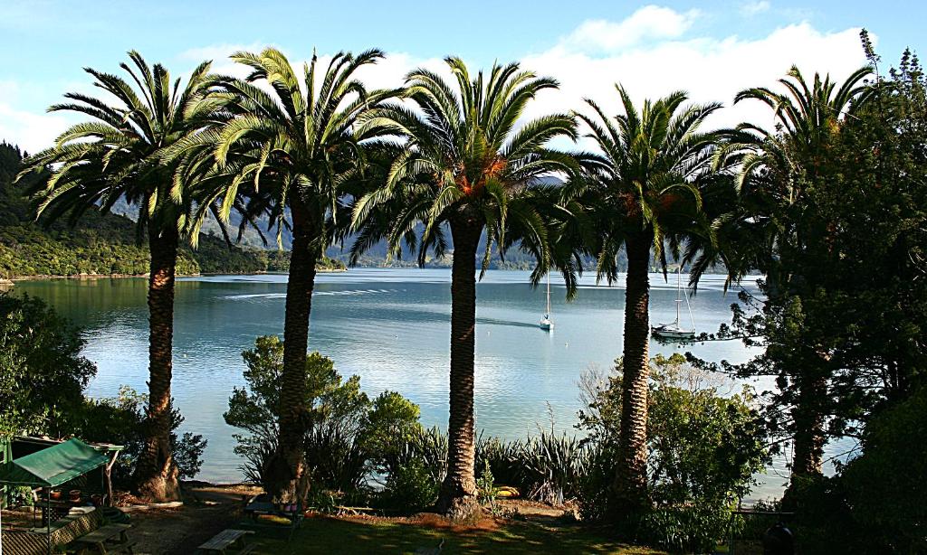 Te Mahia Bay Resort — Hotel in Te Mahia