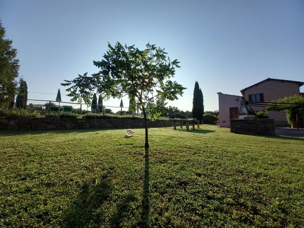 Podere S.Giulia - casale S.Giulia photo