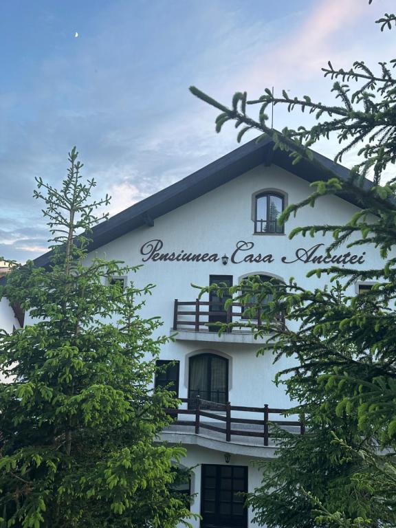 Pensiunea Casa Ancutei photo