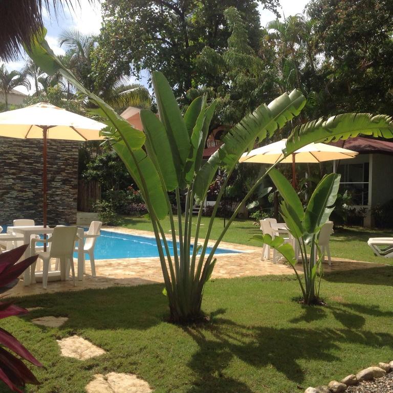 Bungalow Natura Village photo
