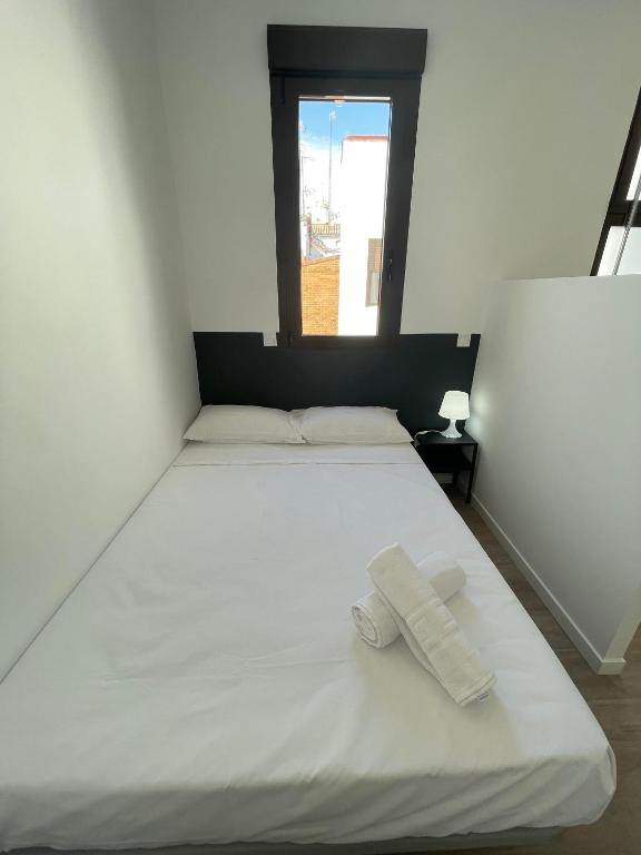 Atocha habitaciones - 5