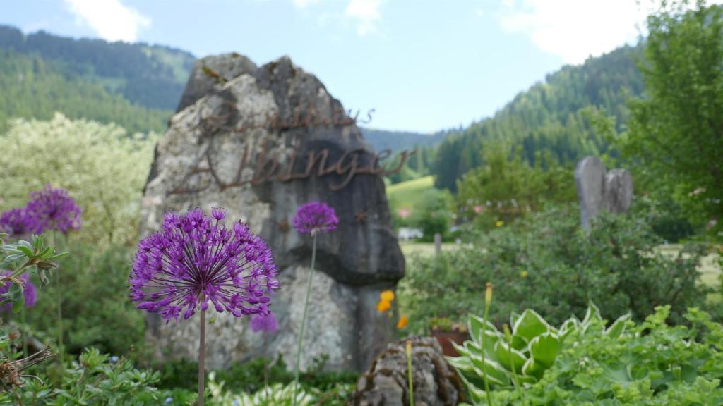 Albingers Landhaus - 4