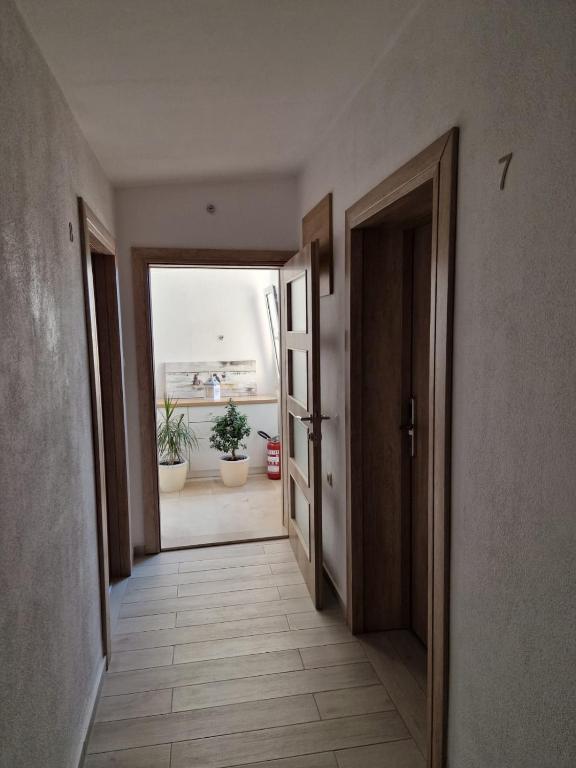 Apartments Petrovic photo