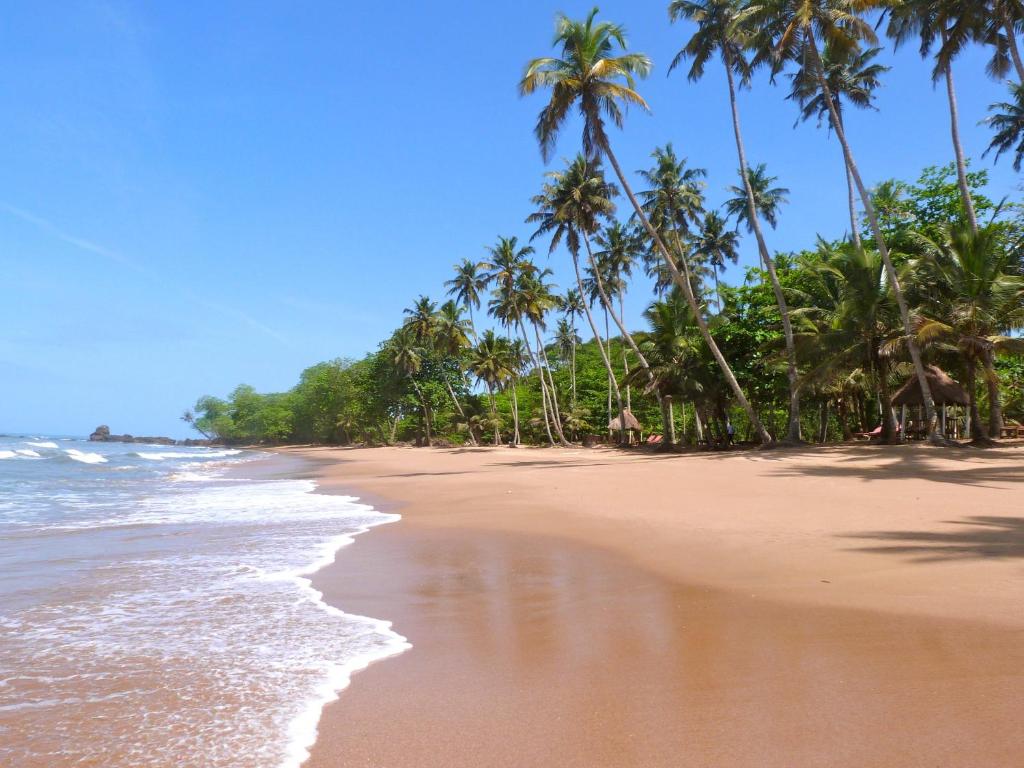 Ankobra Beach Resort photo