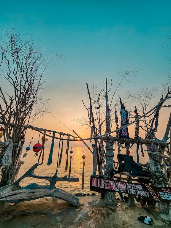 Sports and activities